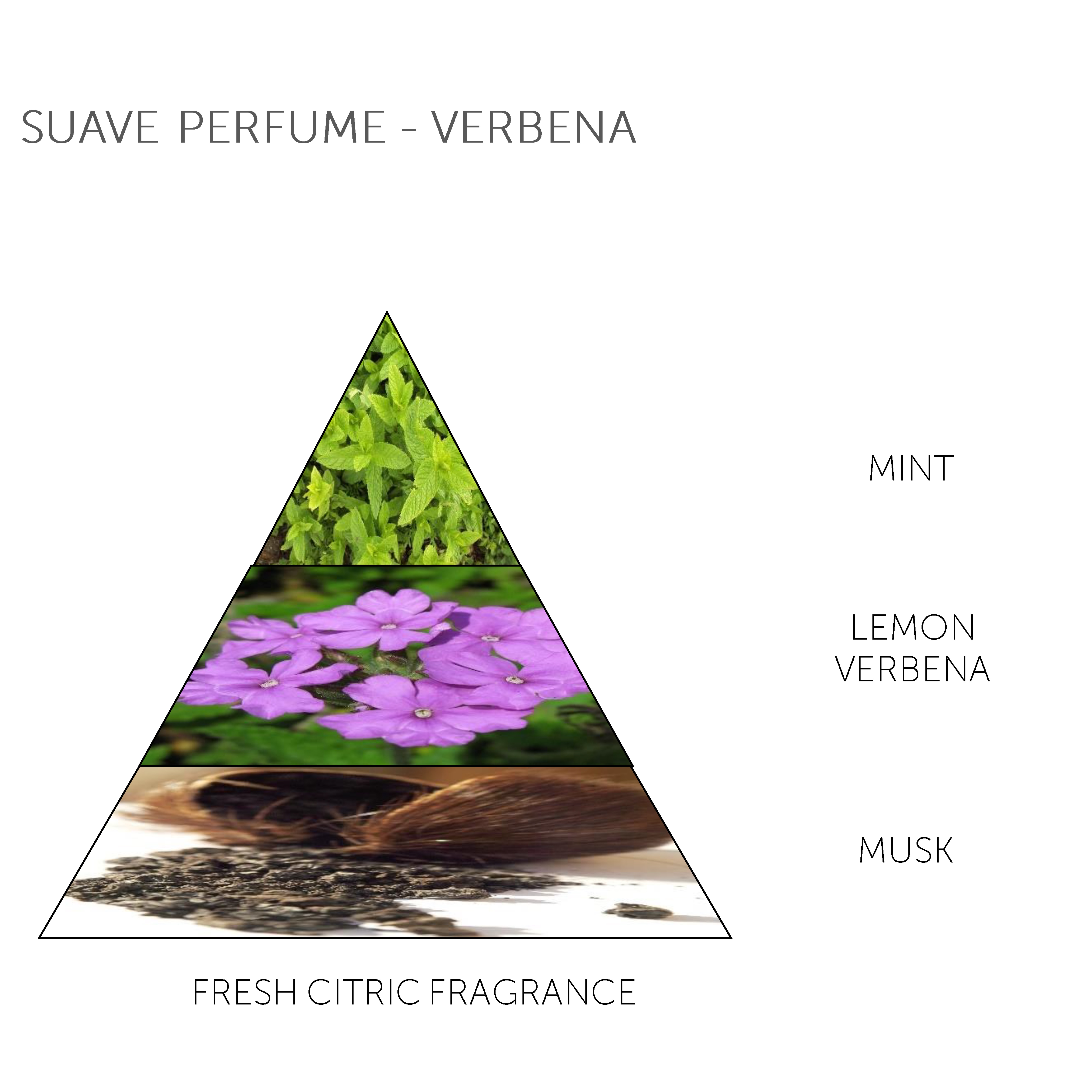 Soap Bar Suave Perfume - Verbena