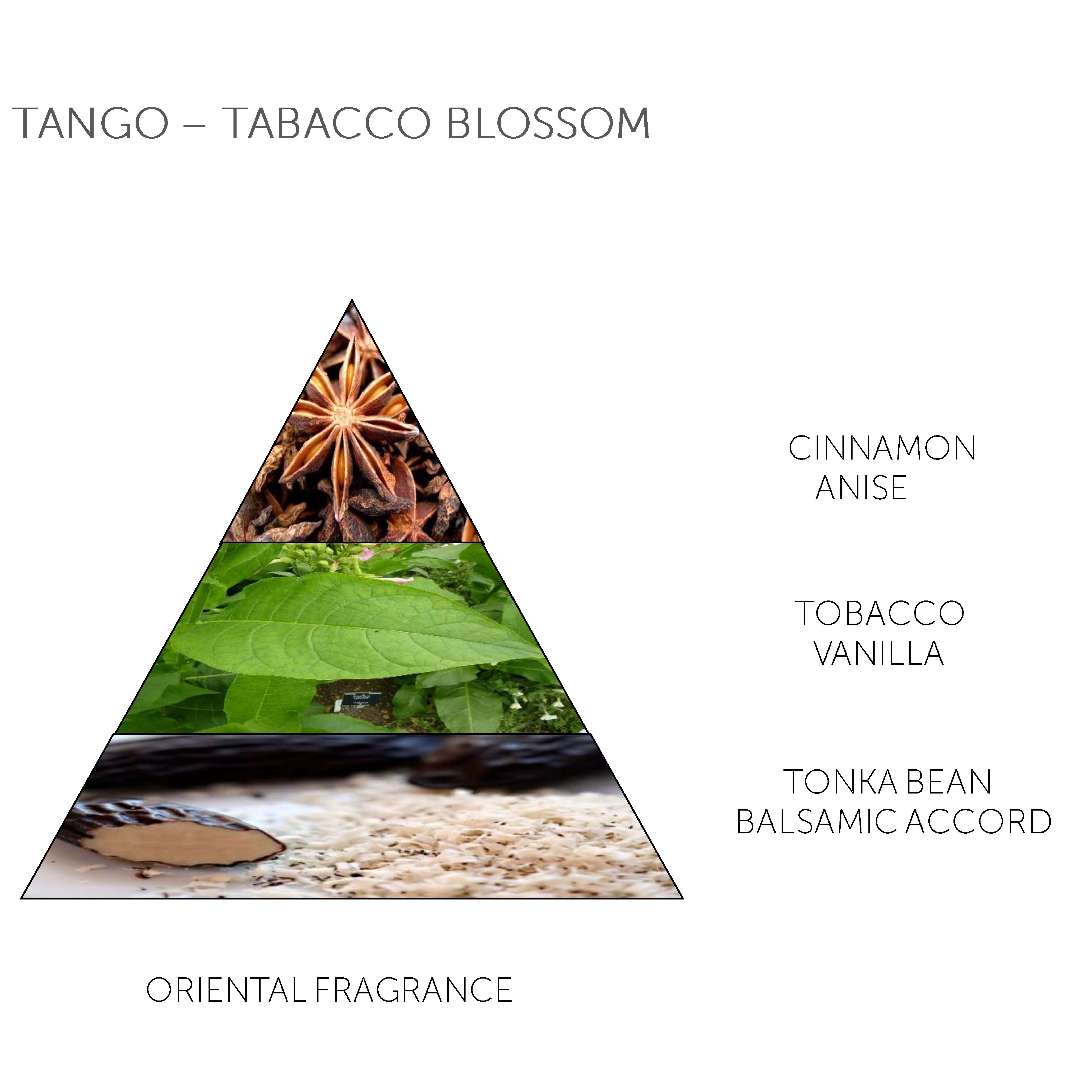 Mini Soap Bar Tango - Tobacco Blossom